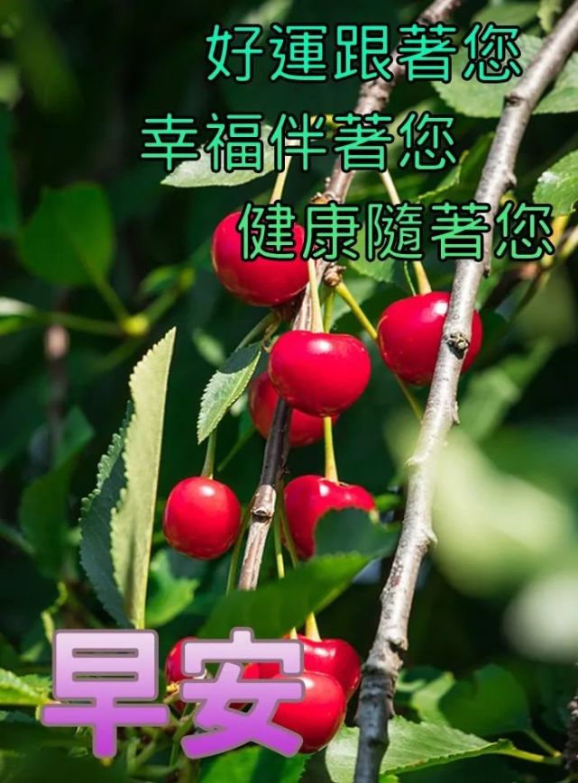 2021年9月8日清晨早安问候语动态图片表情早安漂亮图片问候祝福语