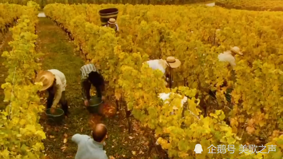 世界著名的瑞士拉沃葡萄酒产地——贝尔特拉米葡萄酒庄园