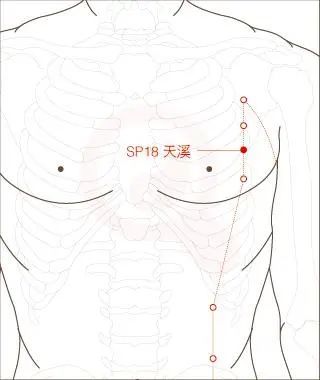 【穴位图】天溪穴,女性朋友不能忽视的穴位