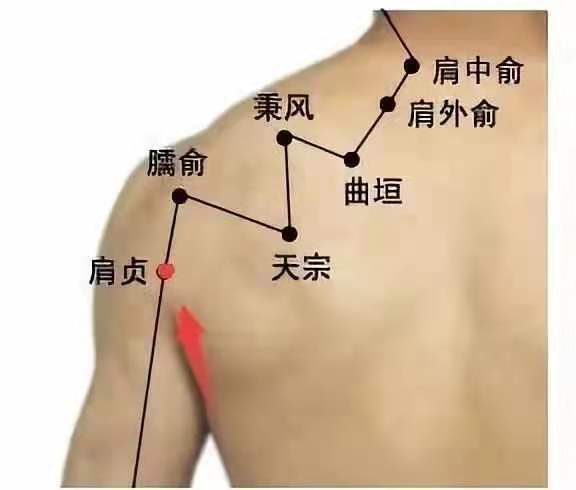 比如感冒我们可以通过按摩鱼际穴和孔最穴来疏通肺经.