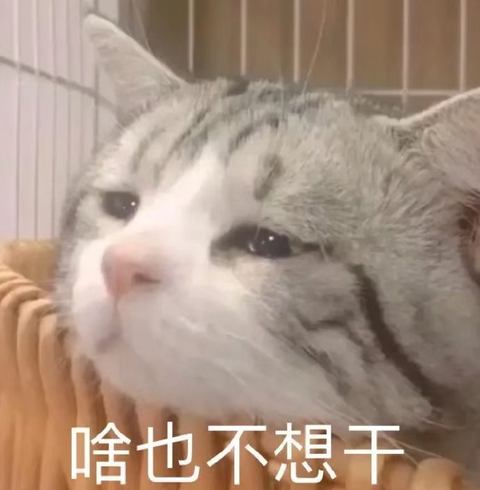 沙雕可爱表情包:哟哟哟你能怎么滴
