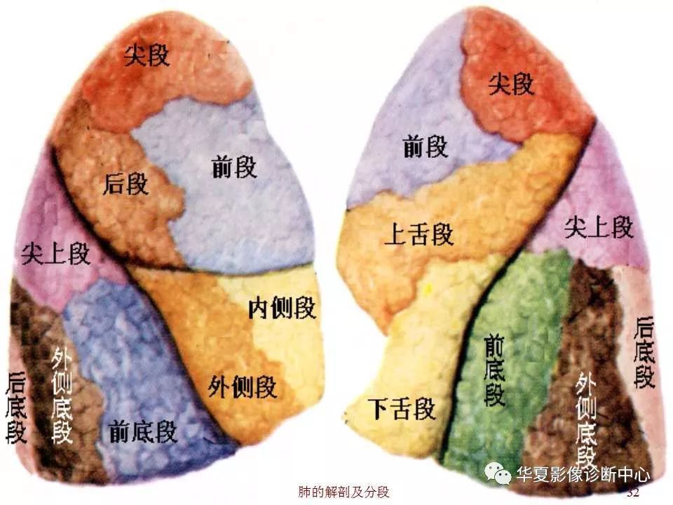 肺斜裂 腾讯网