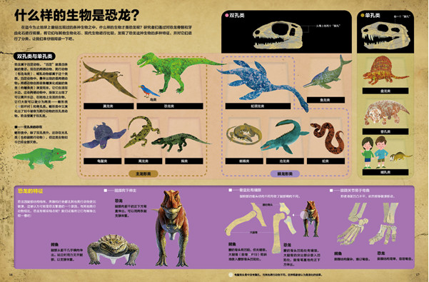 中国科学院古脊椎动物与古人类研究所博士生,师从著名古生物学家徐星