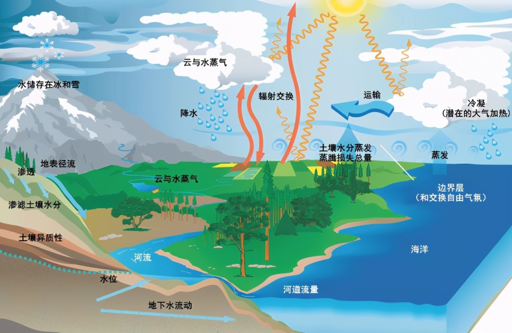tips:水循环是指地球上不同的地方上的水,通过吸收太阳的能量,改变