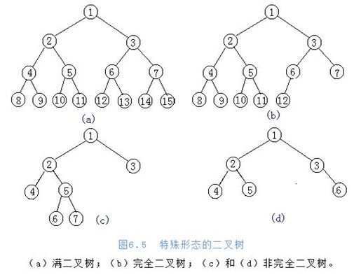 编程小故事:树与二叉树