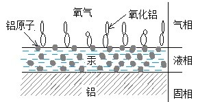 为什么说水银能使飞机长出"菌菇?