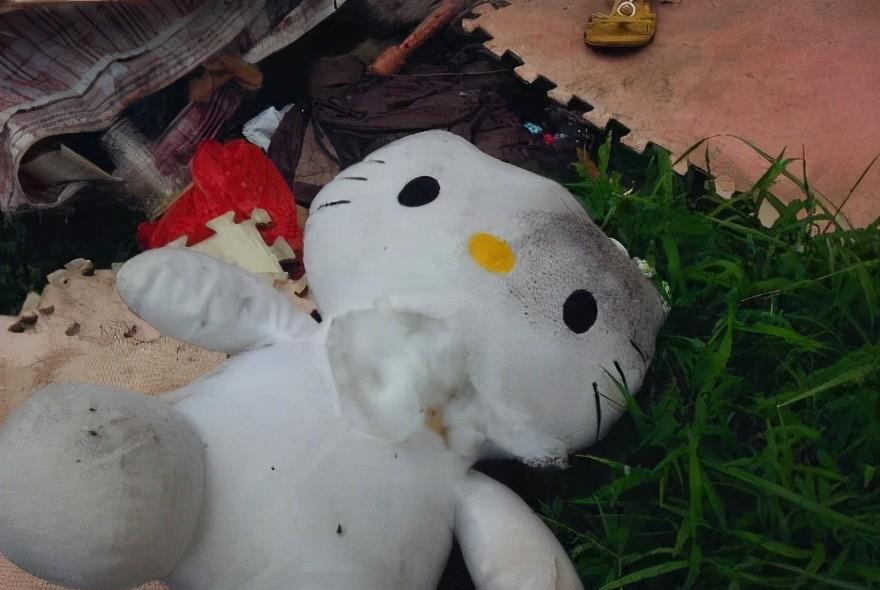 香港hello kitty藏尸案:23岁女子头颅被砍下后塞进玩偶!