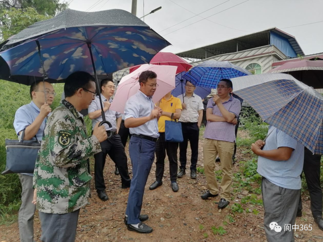 思依镇调研指导家庭农场工作发展情况,南充市农业农村局副局长伍建春