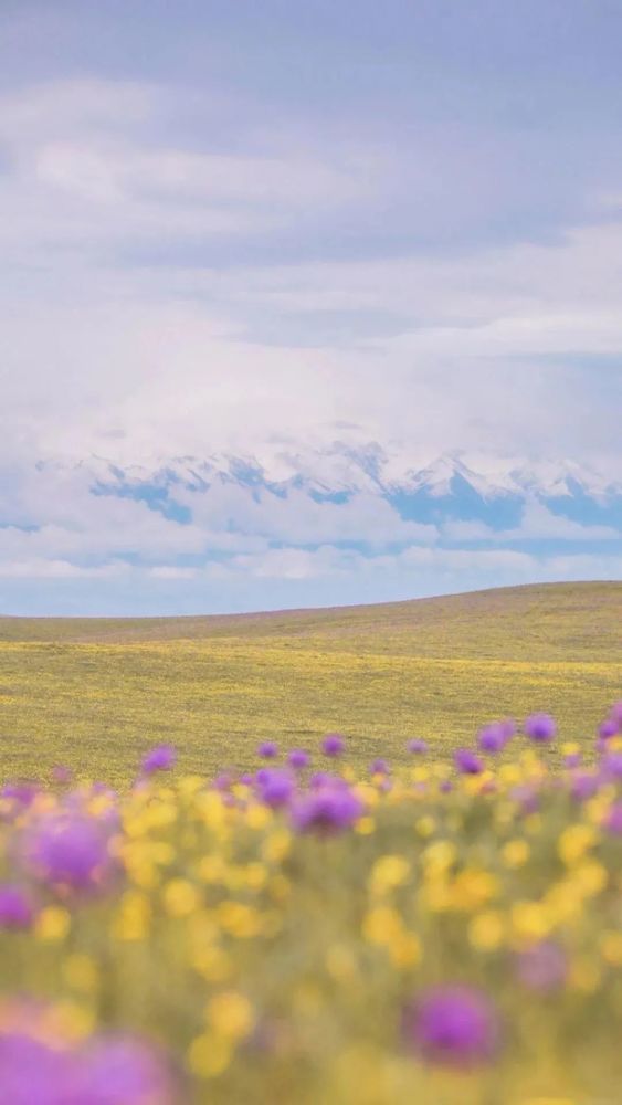 壁纸|小清新壁纸简约唯美
