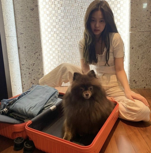 jennie 和她的宠物们