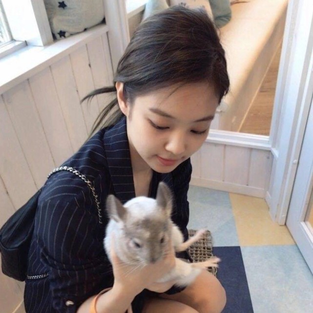 jennie 和她的宠物们