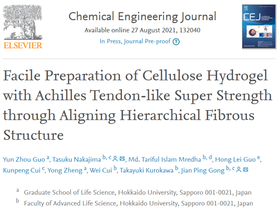 《cej》北海道大学龚剑萍:通过排列分级纤维结构简便制备具有类跟腱