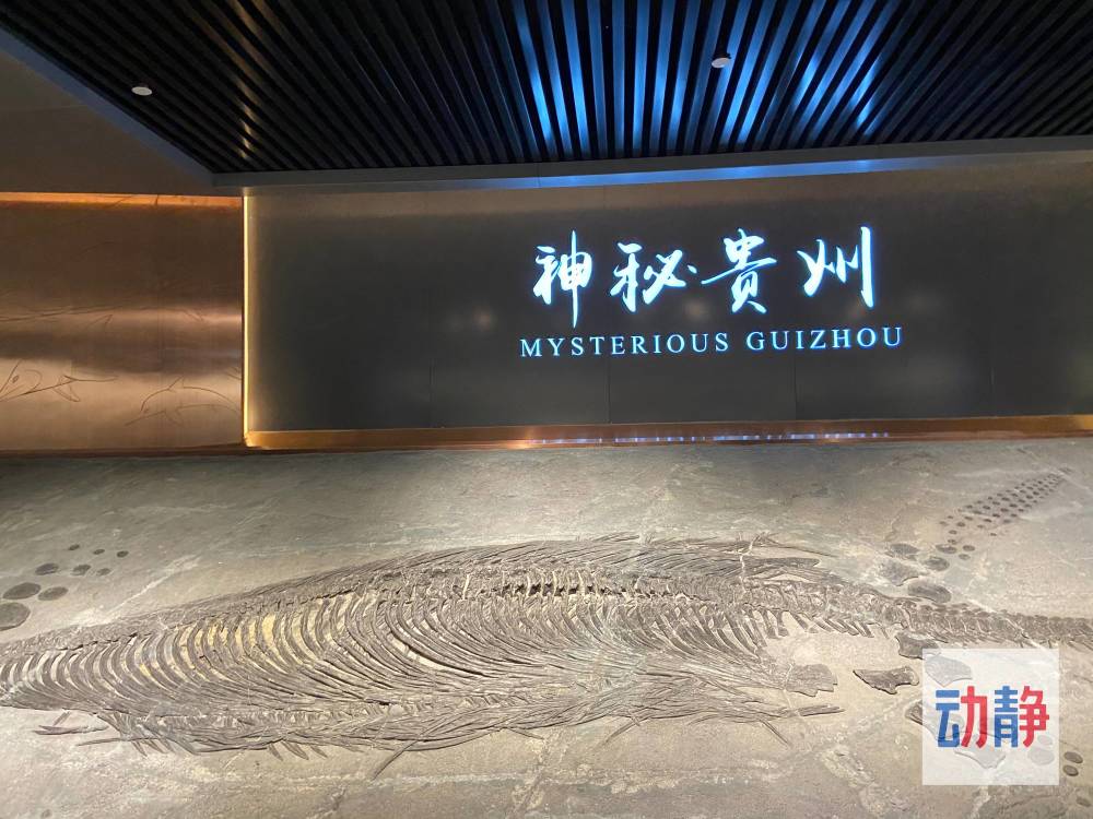 天天满额约不上?贵州省地质博物馆增加预约名额了,快来约吧!