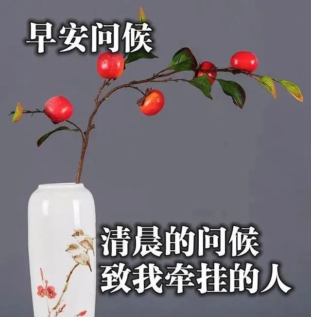微信早上暖心的祝福问候语,最美的早安文字问候图片