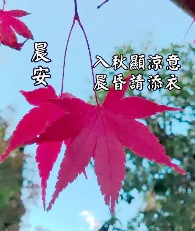 适合秋天早上问候祝福图片带字温馨好看的秋天早安问候图片带字精选
