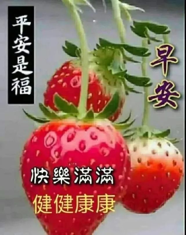 早上好朋友,清早问候大家早上好表情图片 早晨好漂亮