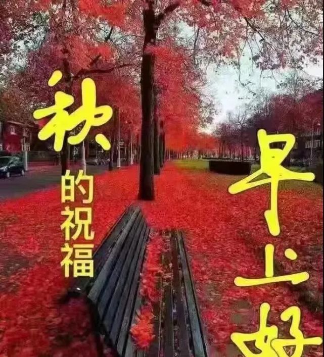 8张漂亮秋日风景早上好图片带字带祝福语 免打字聊天