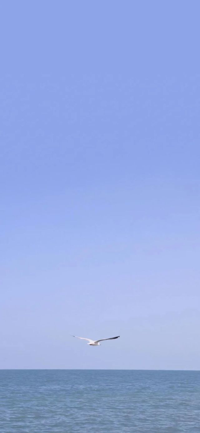 风景壁纸|大海壁纸(48张)海边【371期】