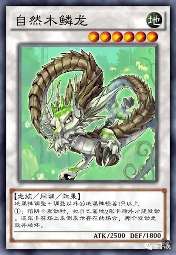 游戏王大怪兽卡——自然木鳞龙,须佐之男,九尾,仁王立