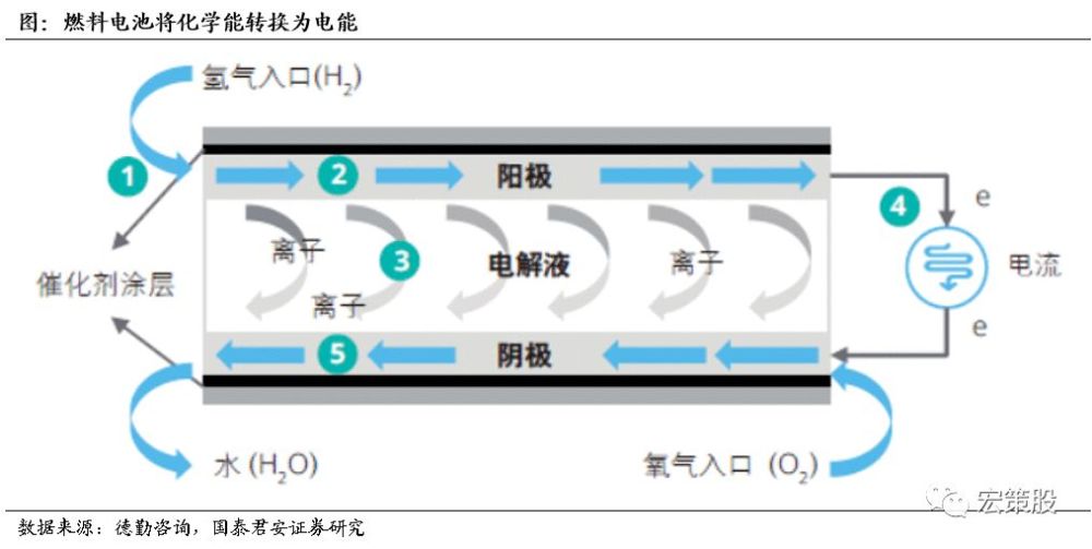 燃料电池根据电解质特性和工作温度等条件可以进行多项分类.