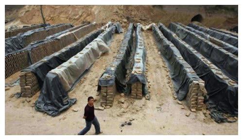 山西黑砖窑案:31名农民成窑奴,每天强制工作20小时,最