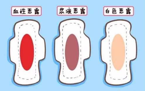 生产后的烦心事恶露啥时走月经啥时来