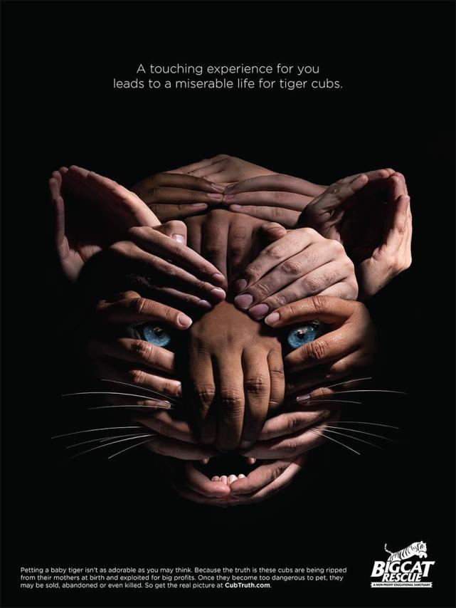 保护动物的创意海报