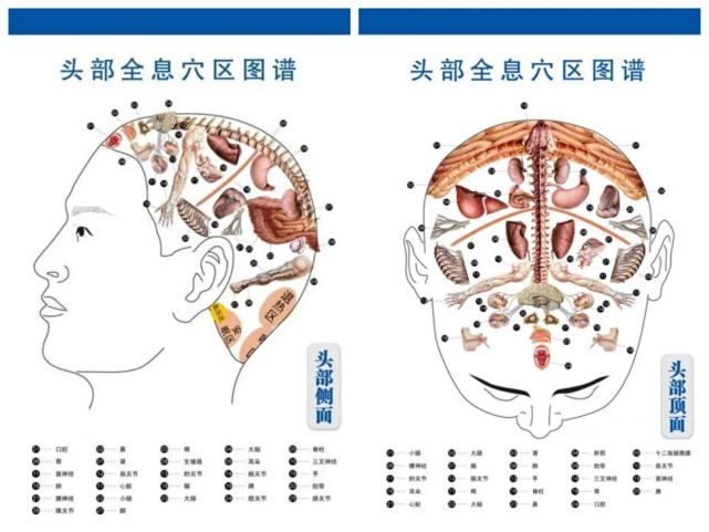 头疗,即头部反射区按摩法.