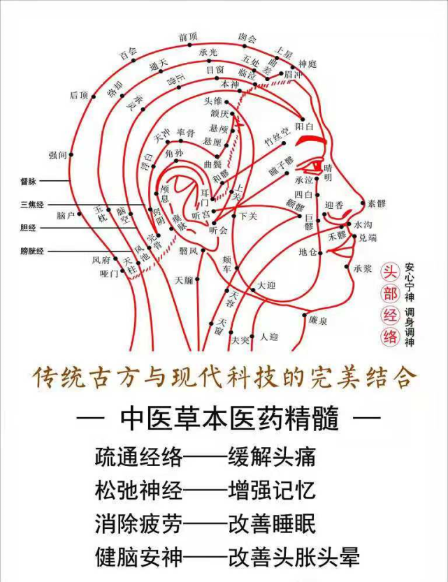 等头部疾病;2,头部分布了包括经外奇穴,特定穴和反射区等近200个穴位