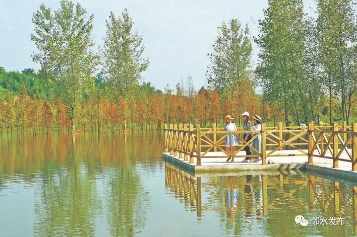 邻水新增一湿地公园,可以去打卡了
