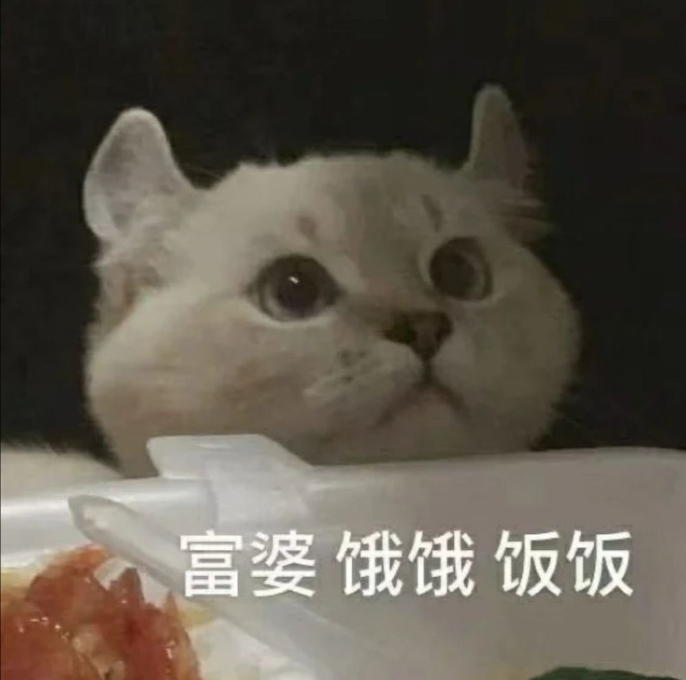可爱猫猫表情包四富婆饿饿饭饭