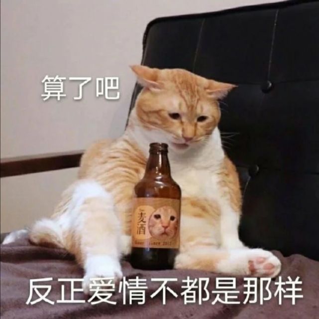 可爱猫猫表情包(五)一辈子单身 一辈子热泪盈眶