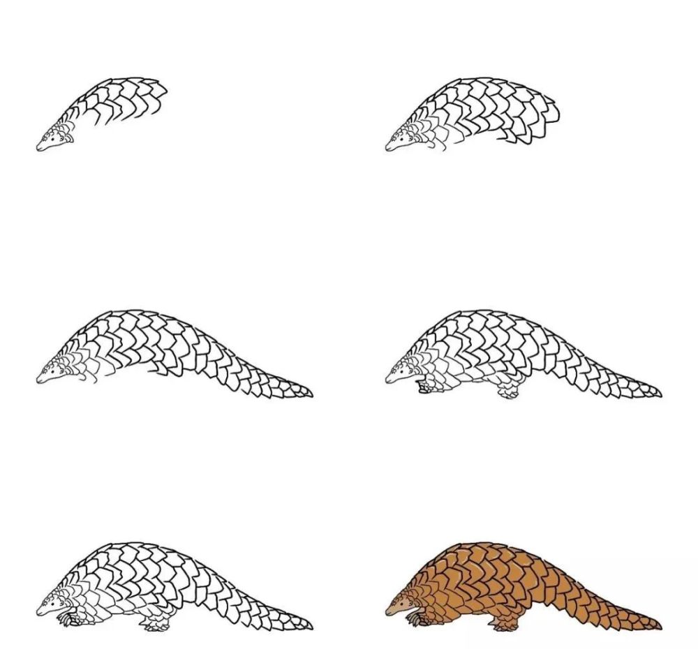 每天学一幅简笔画-可爱的动物简笔画