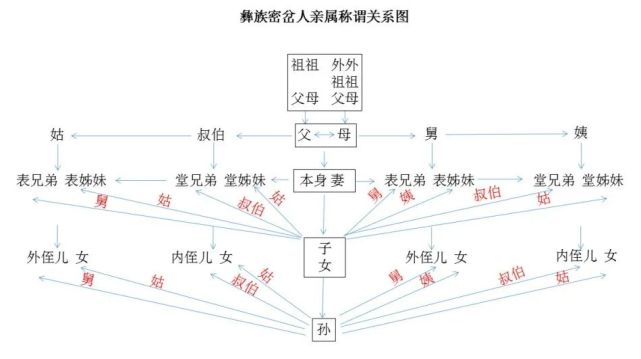 彝族密岔人亲属称谓关系图/商宇宏制