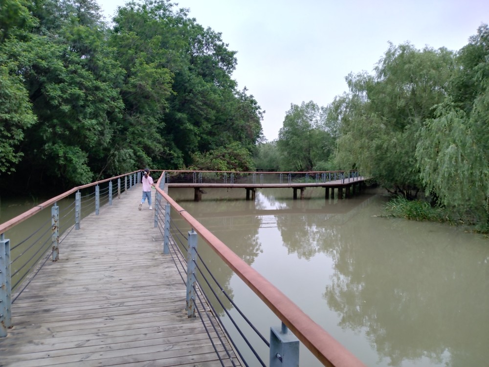 淮安柳树湾废黄河景区游