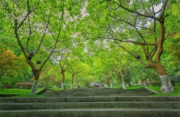 乐山大佛是心动啊!