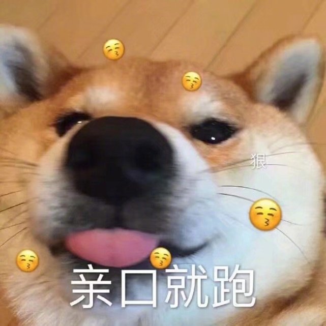 无水印表情包l你醒啦