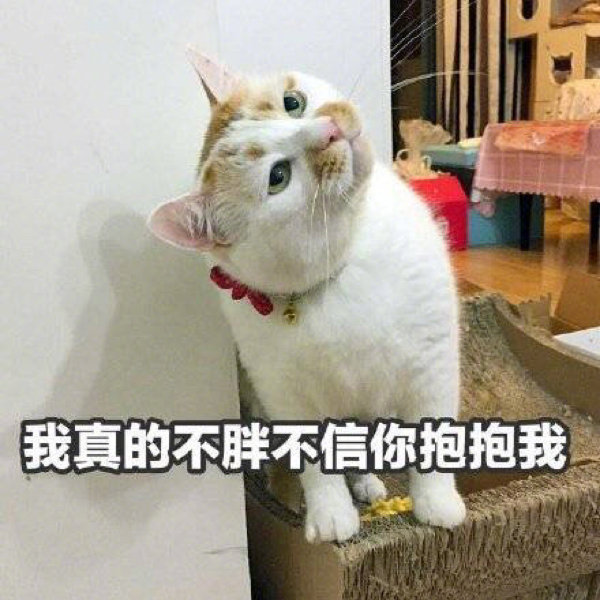 无水印表情包l你醒啦