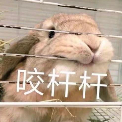 无水印表情包l你醒啦