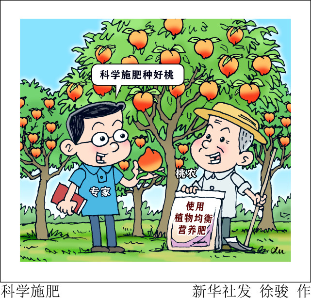 (图表·漫画)【经济】科学施肥