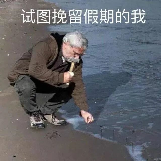 上学人表情包试图挽留假期