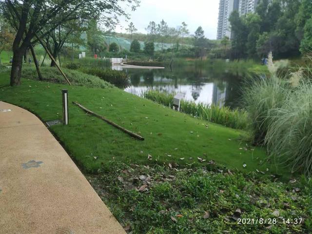 成都麓湖生态城红石公园