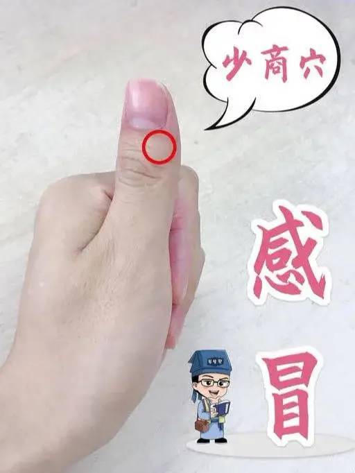本篇,就为大家介绍几个常见身体问题的治疗穴位,用小穴位来解决大烦恼