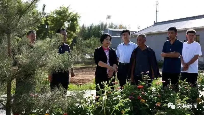 岚县高奇英在社科乡兰家舍村调研指导