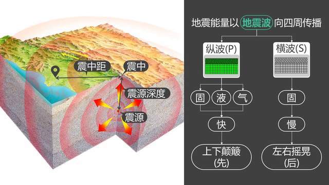 天快黑了!大量蝙蝠集体出现在四川德阳,成都平原不在地震带上?