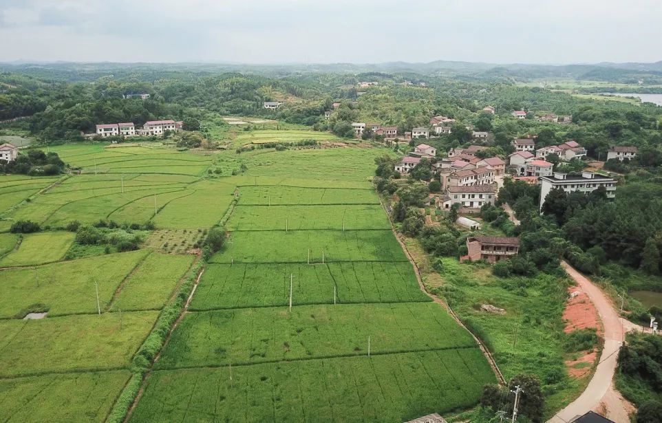 朱亭镇,古称浦湾,隶属于湖南省株洲市渌口区,地处渌口区东南部,东与