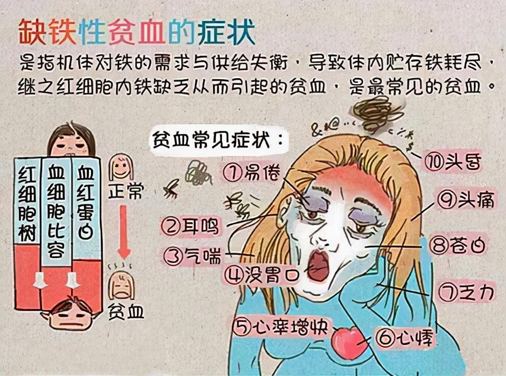 为什么怀孕后更容易贫血呢?