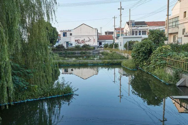 常州"副县级镇,2镇合并设立,4条省道过境,中医发达适合养老