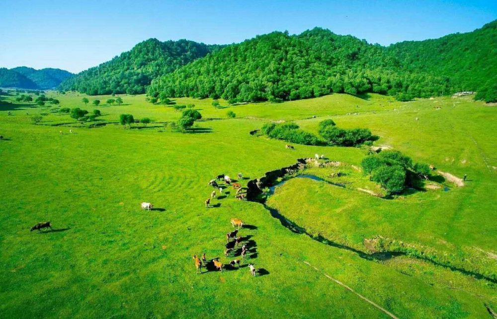 自然的魅力是多么大,所以它也有"小天山"美誉,也是陕西一处省级风景