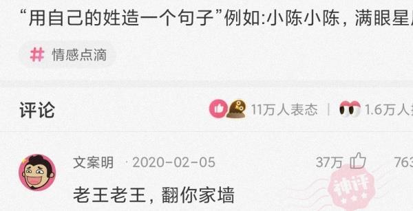 【沙雕问题10】:用自己的姓造一个句子"例如:小陈小陈,满眼星辰